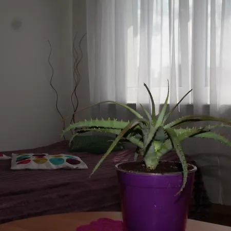 Апартаменты Apartament Leborska Гданьск